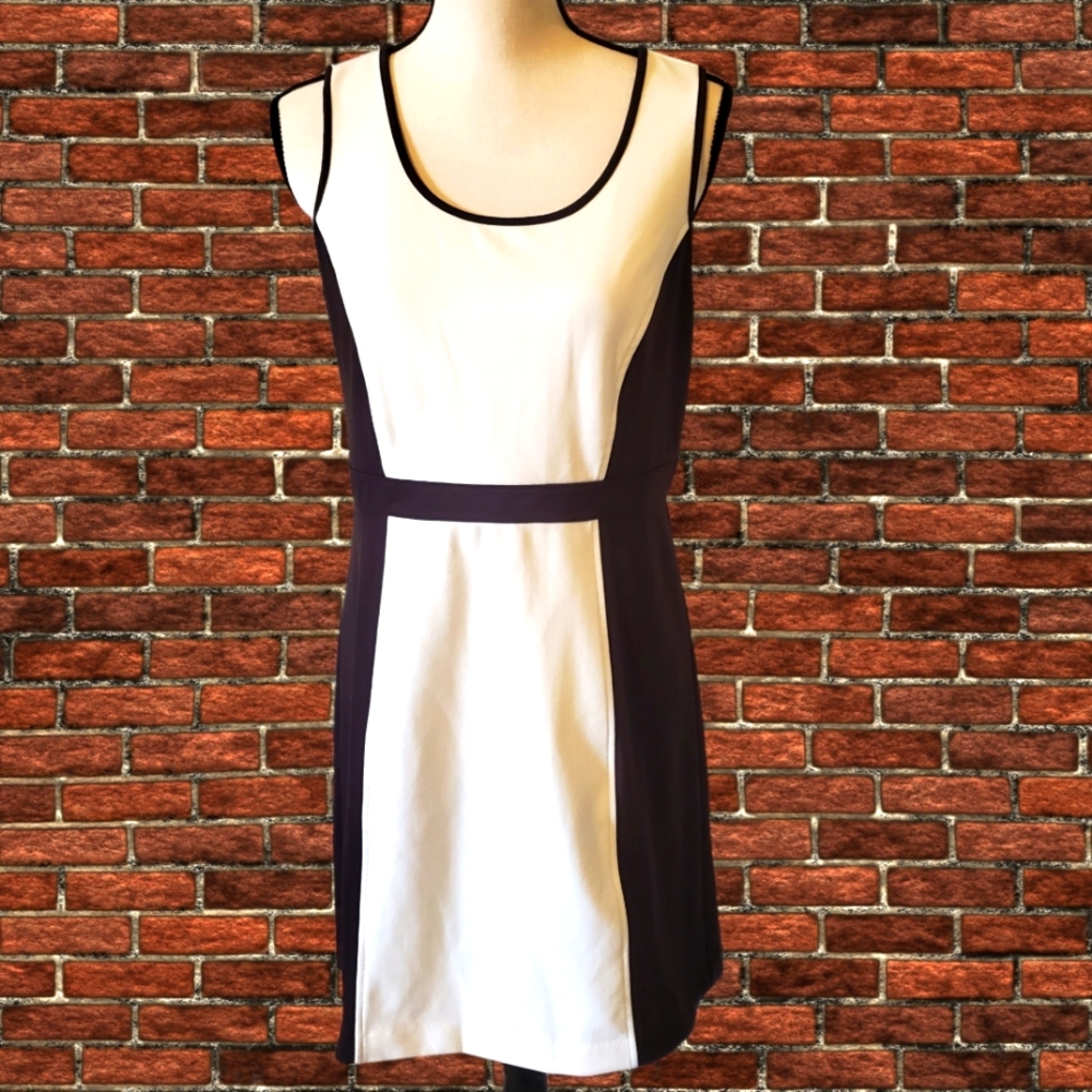 NWT Loft Petite shift dress Brown & Ivory size 8P